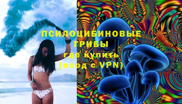 крисы Ладушкин