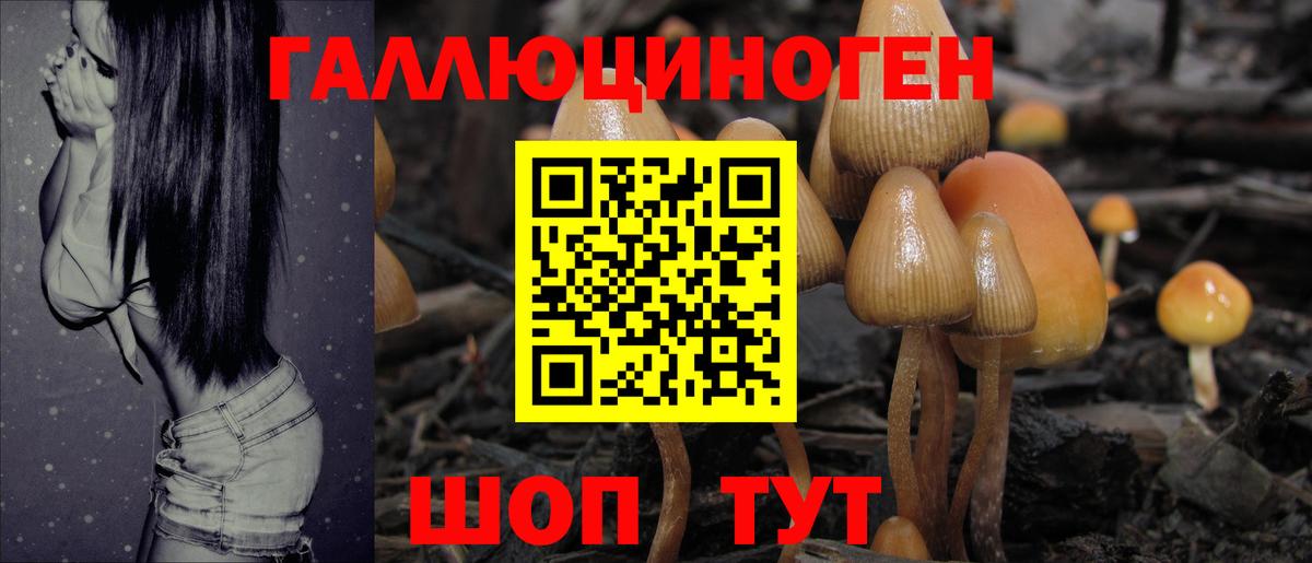 Псилоцибиновые грибы Psilocybine cubensis Троицк